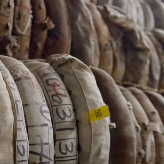 Gerber & Co is reviving the textile industry in Paarl