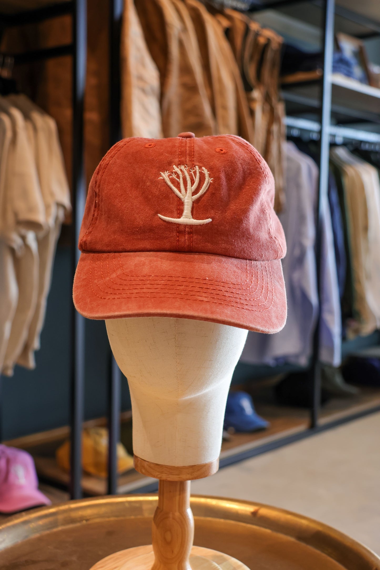 Quiver Tree Cap