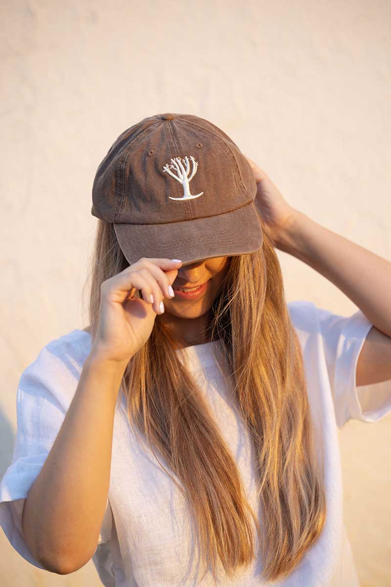 Quiver Tree Cap