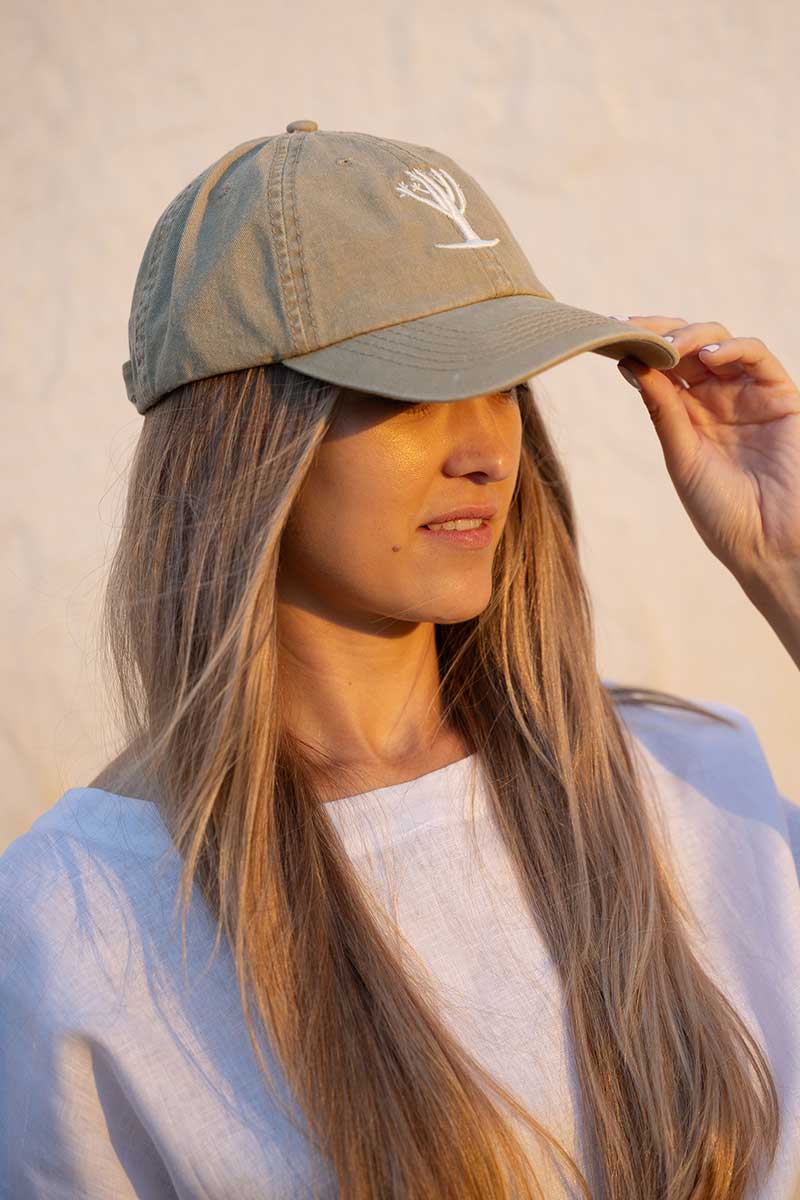 Quiver Tree Cap