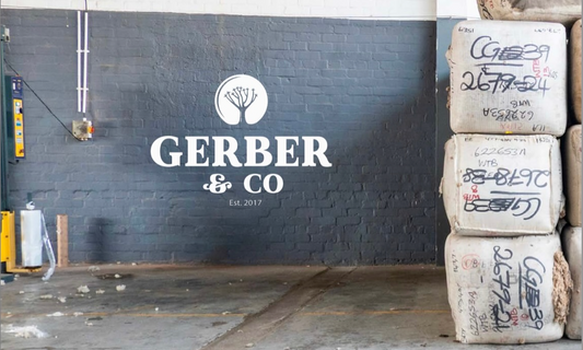 Merino SA - Disrupting the Last 28 Years