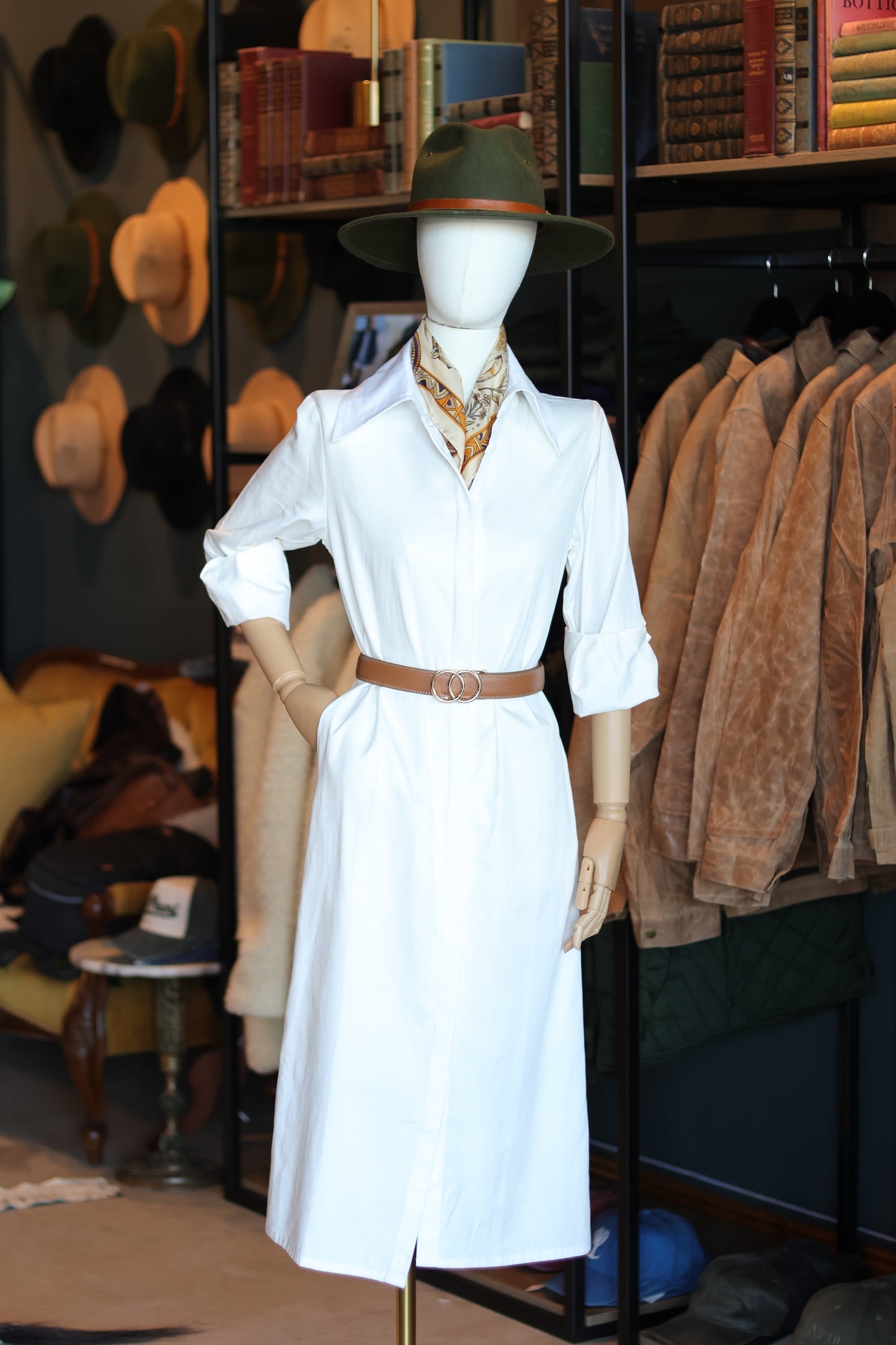 Gina Shirt Dress