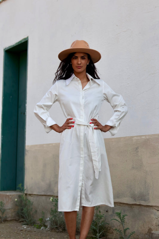 Gina Shirt Dress
