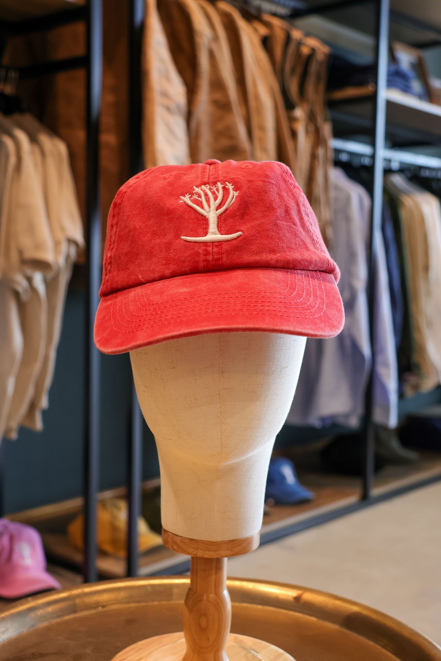 Quiver Tree Cap