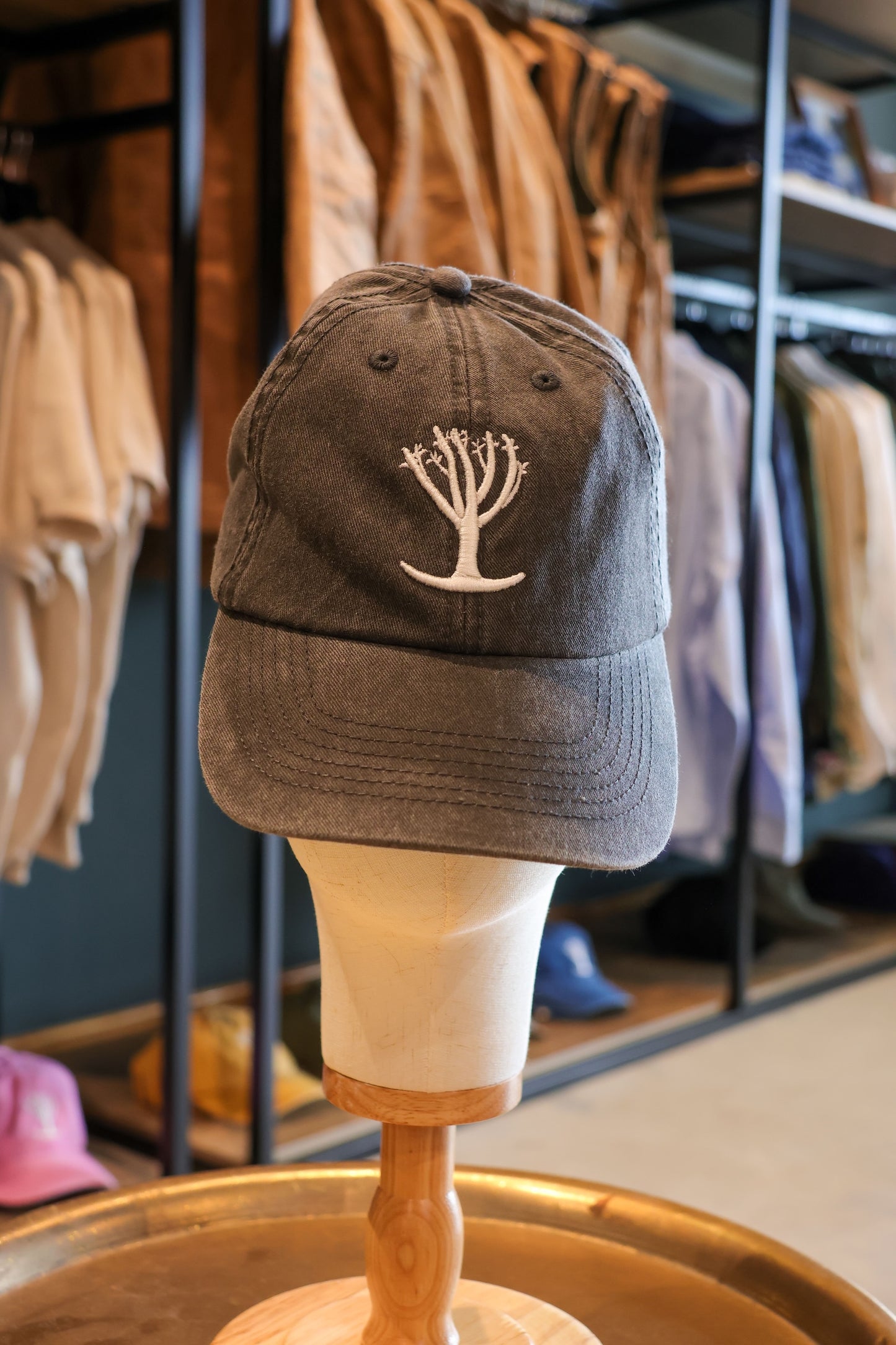 Quiver Tree Cap