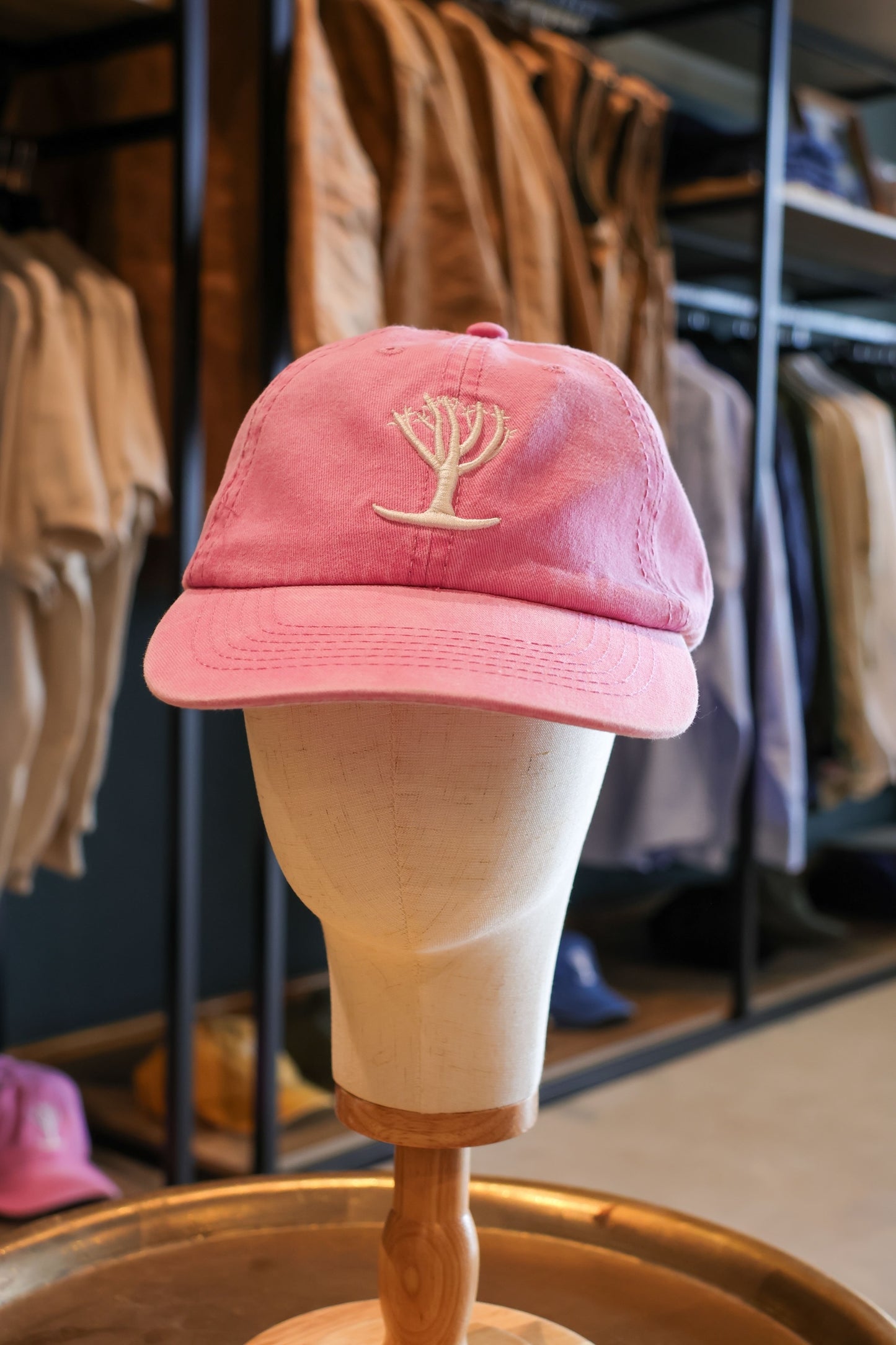 Quiver Tree Cap